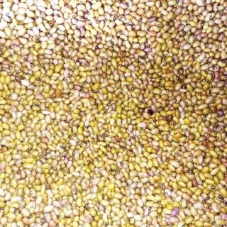 Beeston Yellow Beans