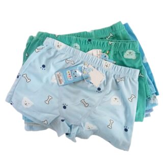 Boys  Underwear 1pc